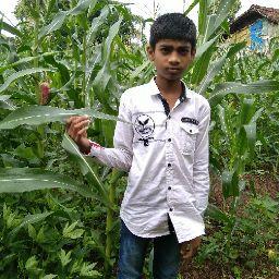 Dhaval kumar Rathawa