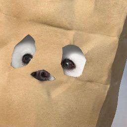 ปวเรศ อินเนตร