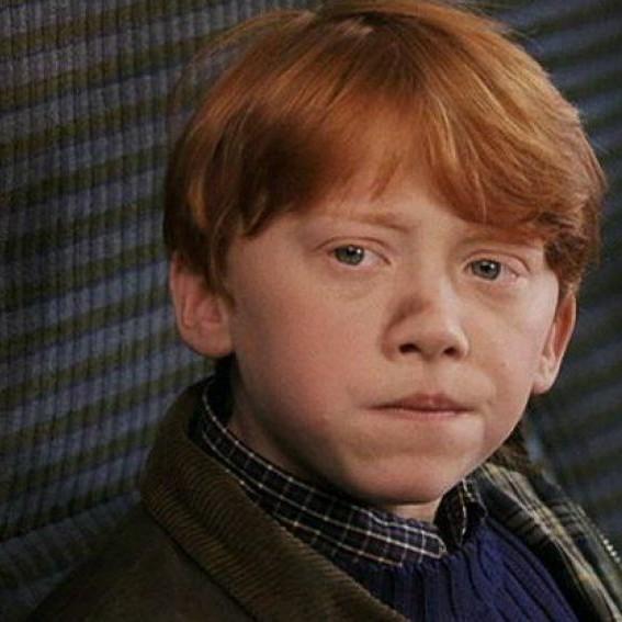 harry potter curiosidades