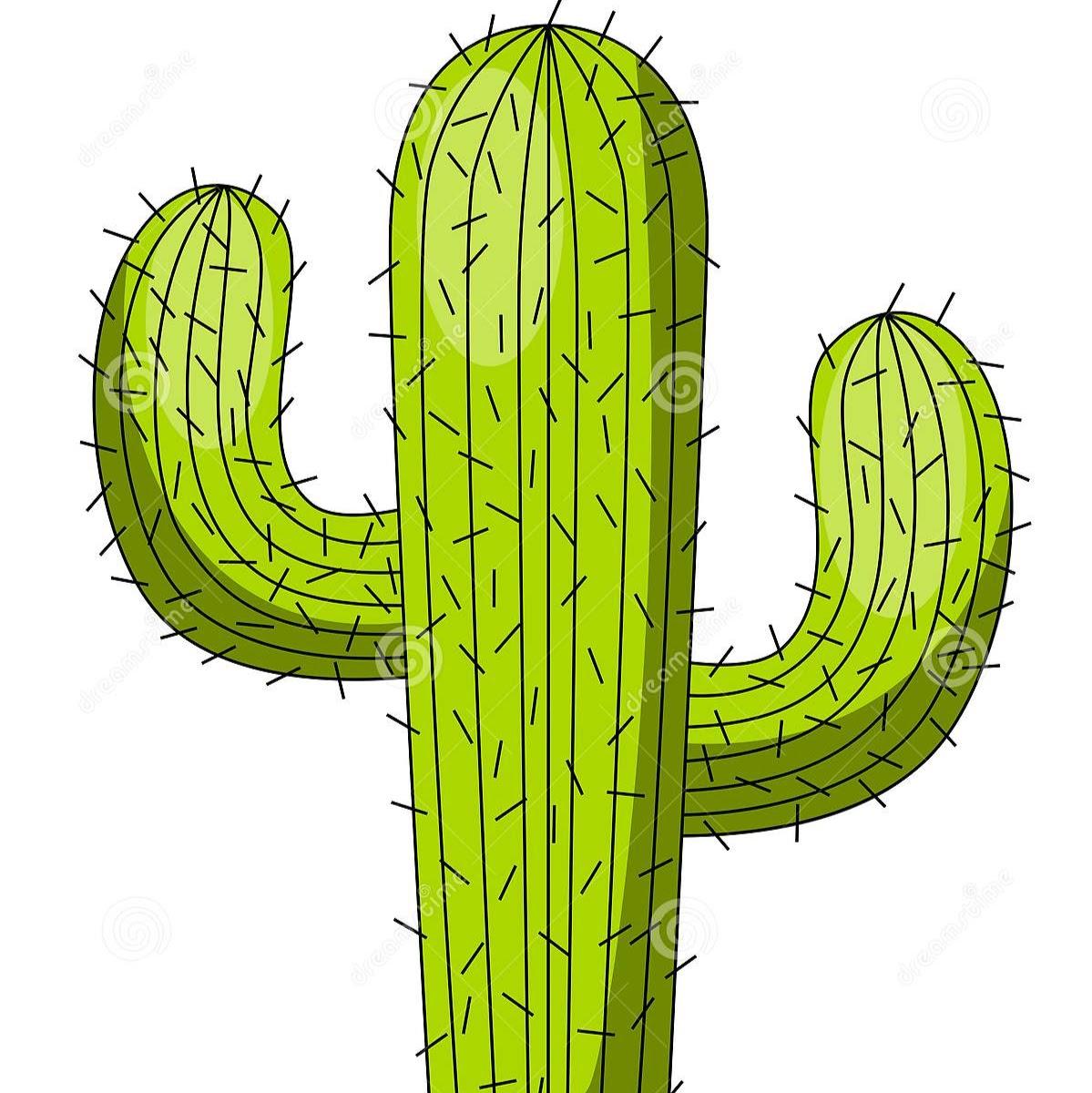 Cactus Mrink