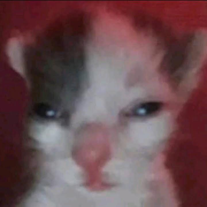 Максим Данько