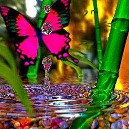 Karthik v s Santhosh