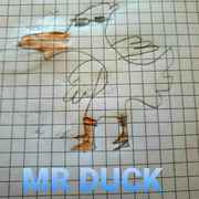 MR DUCK