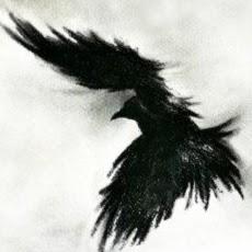 Captain Raven Nightwalker