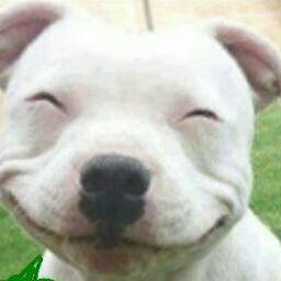 Trần Bảo Thuận