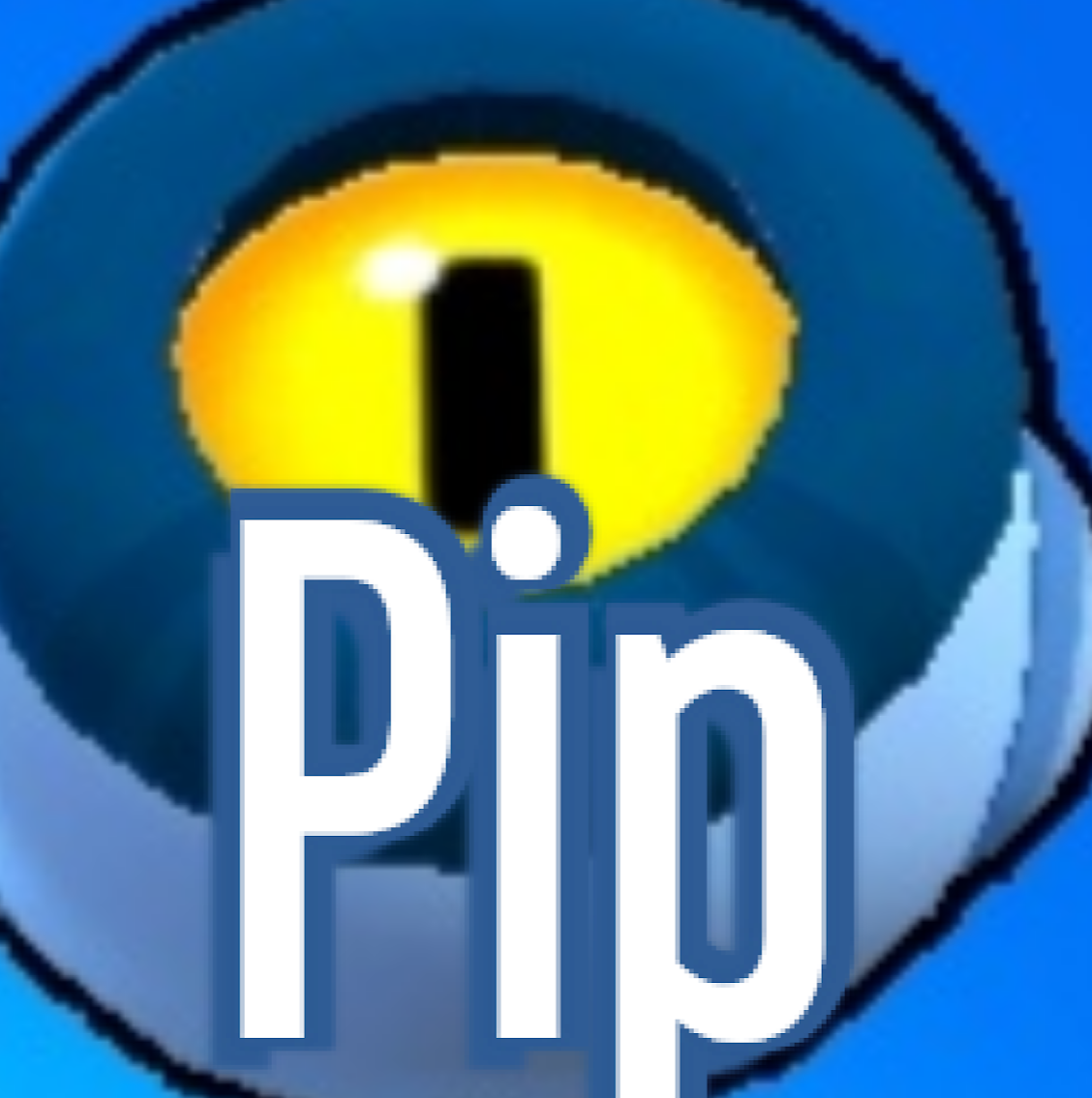 pip