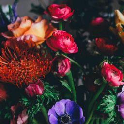 Dnyaneshwar Khillare