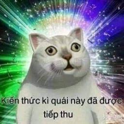 Trọng Vỹ 9a7 Nguyễn